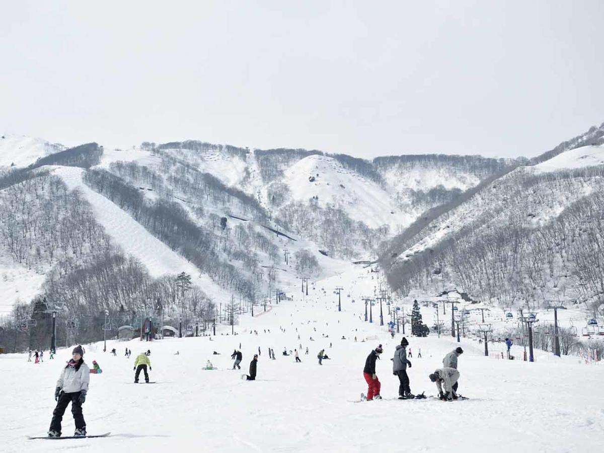 Hakuba Park Hotel Esterno foto